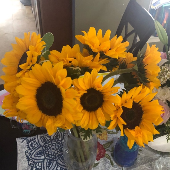 Meet your Posher, Marianne - Picture 2 of 6